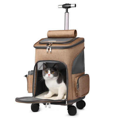 Trolly für Katzen