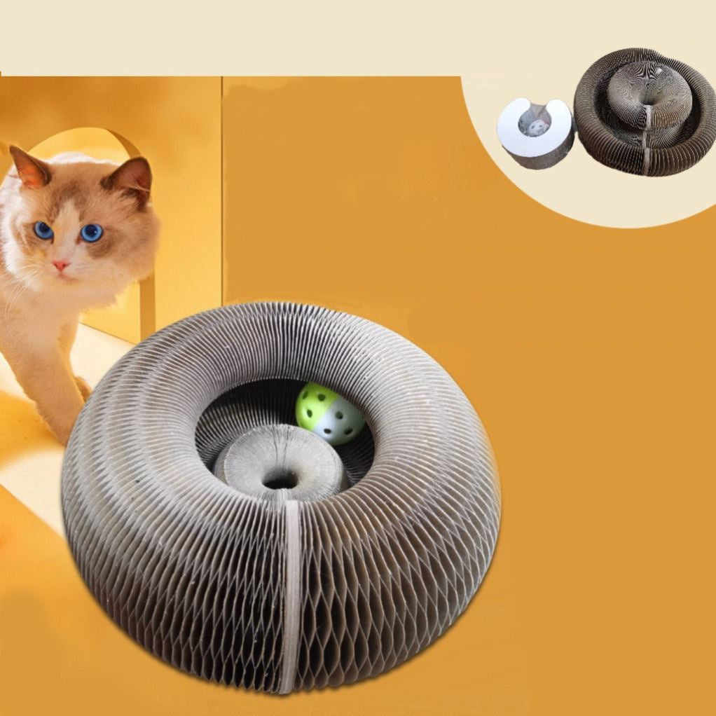 Krallenpflege für katzen