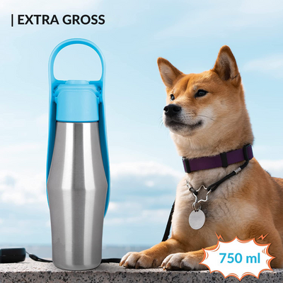 Wasserflasche Hund extra gross